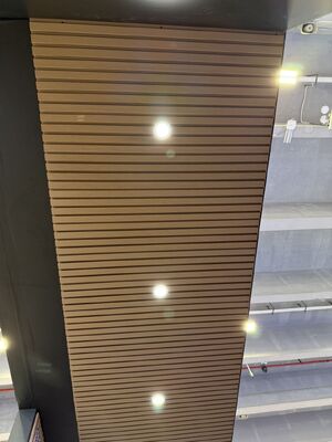 Panneaux muraux extérieurs de coextrusion WPC à prix bon marché, matériau de terrasse de haute qualité