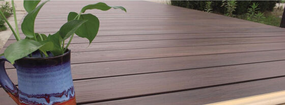 Platelage composite coiffé de co-extrusion solide extérieure WPC pour jardin